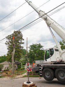 Crane Tree Removal Service Makes Removing Trees Easier