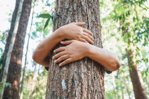 person wrapping arms around tree trunk