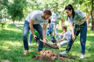 Volunteers planting trees in green park together, Urban Tree Preservation.
