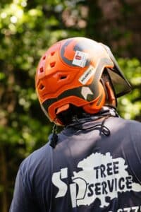 Call a professional, Habitat sensitive cuts.