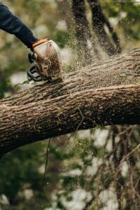 Cut branches, Load path pruning.