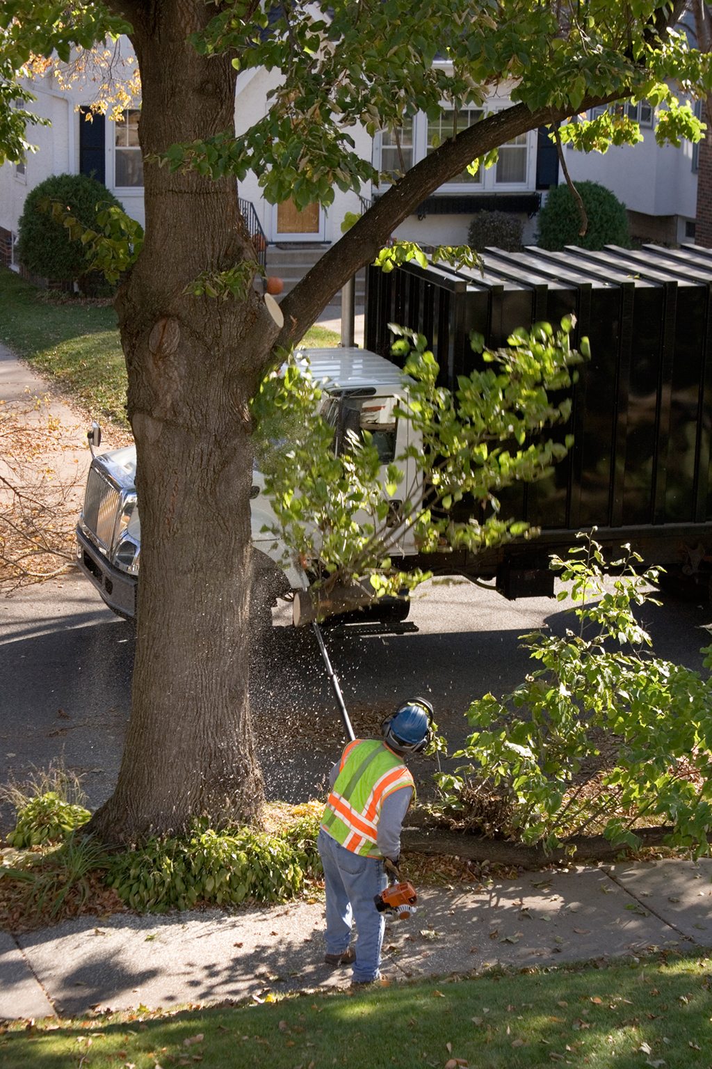 5 Reasons Why You Should Hire A Professional Tree Trimming Service Provider | Fort Worth, TX