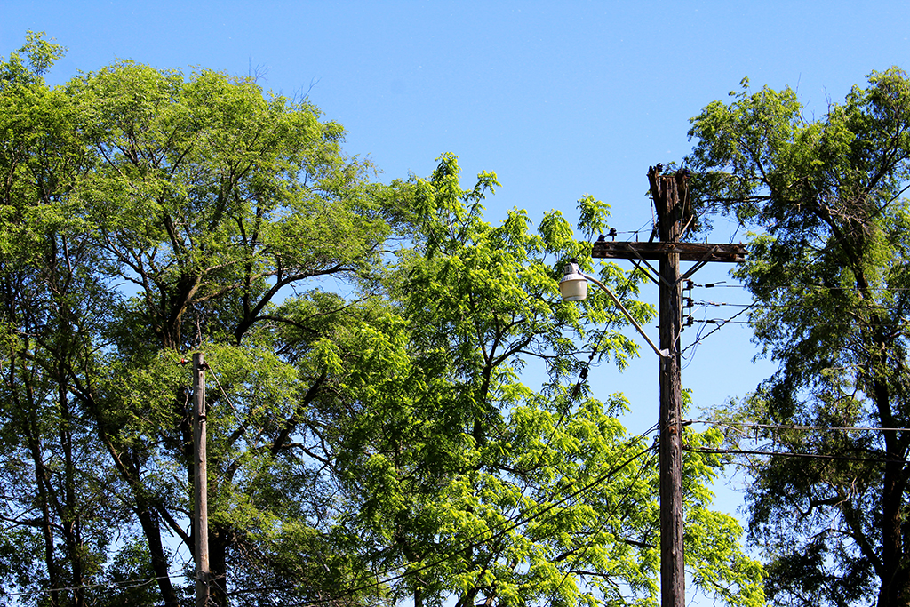 Emergency-Tree-Service--Protecting-Your-Property-When-Nature-Strikes-_-Fort-Worth,-TX