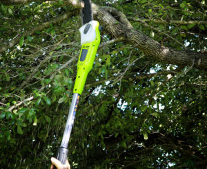 Just-Like-Trimming-Your-Hair-Or-Nails-Is-Good-For-You,-Tree-Trimming-Service-Is-Good-For-Your-Tree!-_-Weatherford,-TX