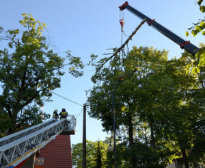 What-Are-the-Risks-Associated-With-Crane-Tree-Removal-Service--_-Dallas,-TX