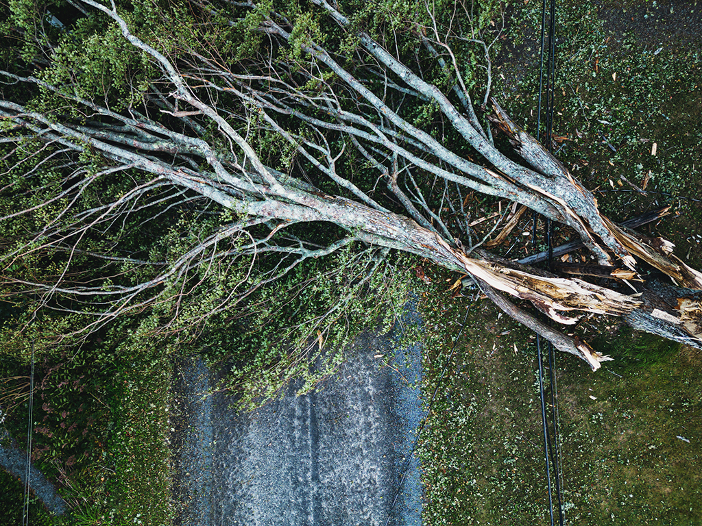 Restoring Your Property’s Safety After A Storm With Emergency Tree Service | Weatherford, TX