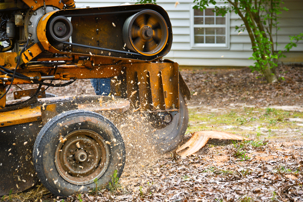 Stump Grinding: A Fast, Environmentally Friendly Solution | Tree Removal Service 