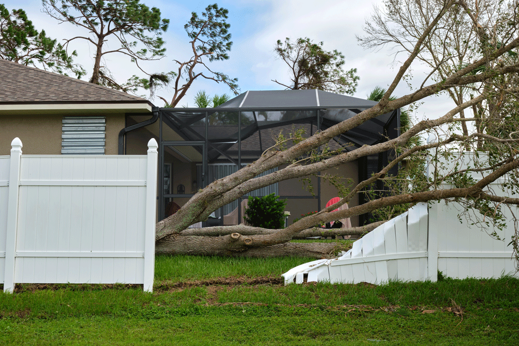 Emergency Response: We're Here When You Need Us Most | Tree Removal Service 