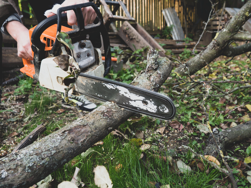 guy using chainsaw to cut tree limbs | tree service dallas tx ft worth tx 