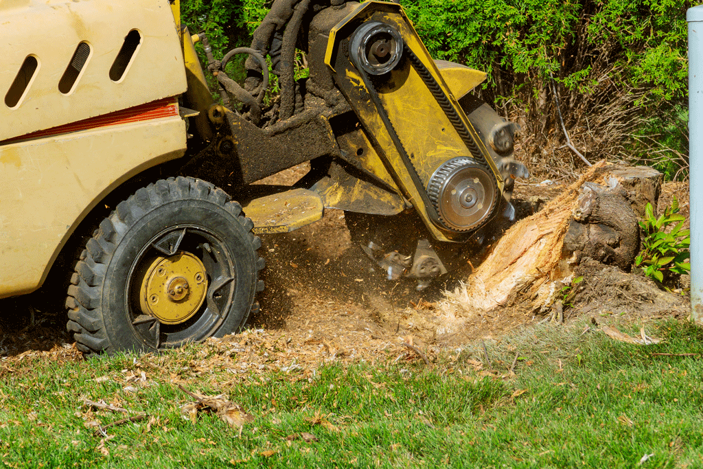 machine grinding up a tree stump | tree service dallas tx prosper tx 