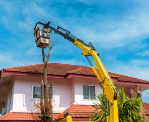 big yellow crane removing tree | crane tree removal service dallas tx prosper tx fort worth tx