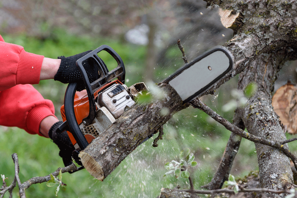 man using chainsaw to cut down tree limp tree trimming service aledo tx prosper tx ft worth tx 