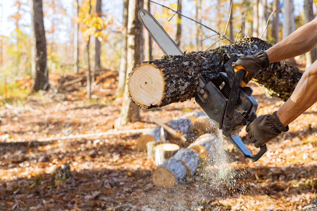 man using chainsaw to cut tree limb | tree removal service prosper tx ft worth tx aledo tx