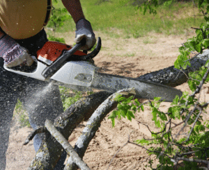 guy using chainsaw to cut tree branches professional tree service prosper tx dallas tx ft worth tx