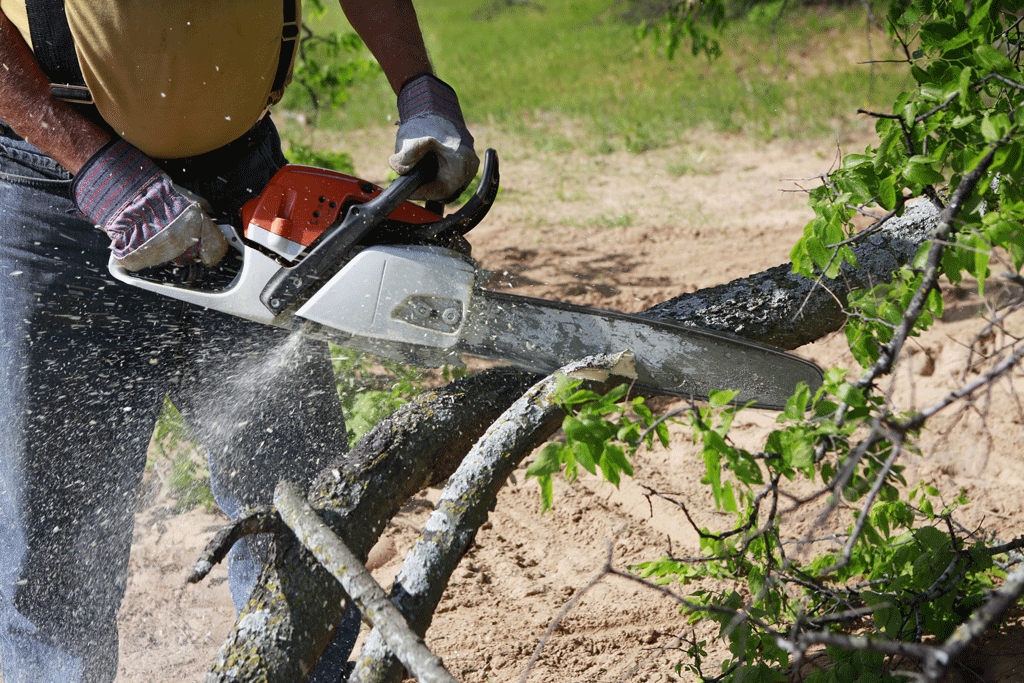 guy using chainsaw to cut tree branches professional tree service prosper tx dallas tx ft worth tx