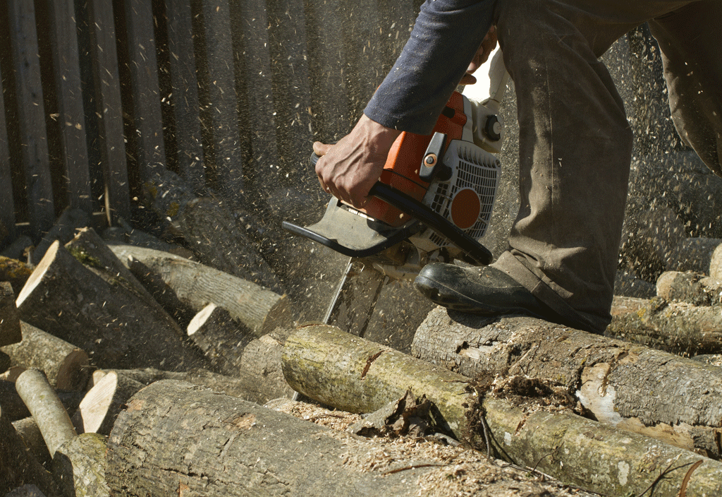 man standing on a log using a chainsaw to cut it tree cutter prosper tx ft worth tx dallas tx