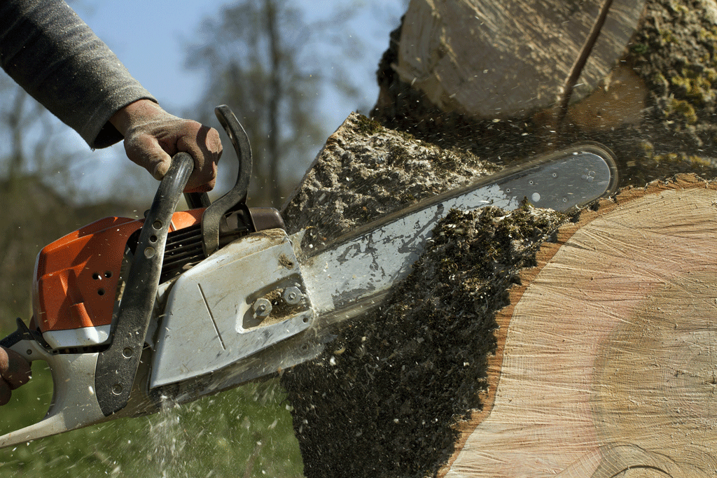 man using chainsaw to cut big wood log professional tree care service dallas tx southlake tx ft worth tx 