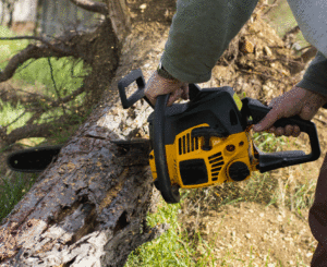 man using chainsaw to cut tree professional tree care services dallas tx ft worth tx southlake tx