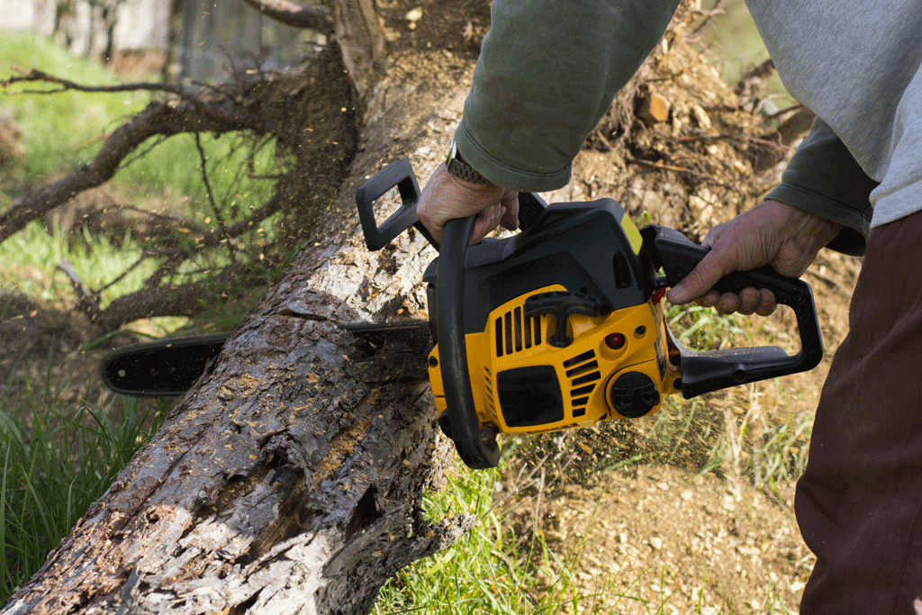 man using chainsaw to cut tree professional tree care services dallas tx ft worth tx southlake tx
