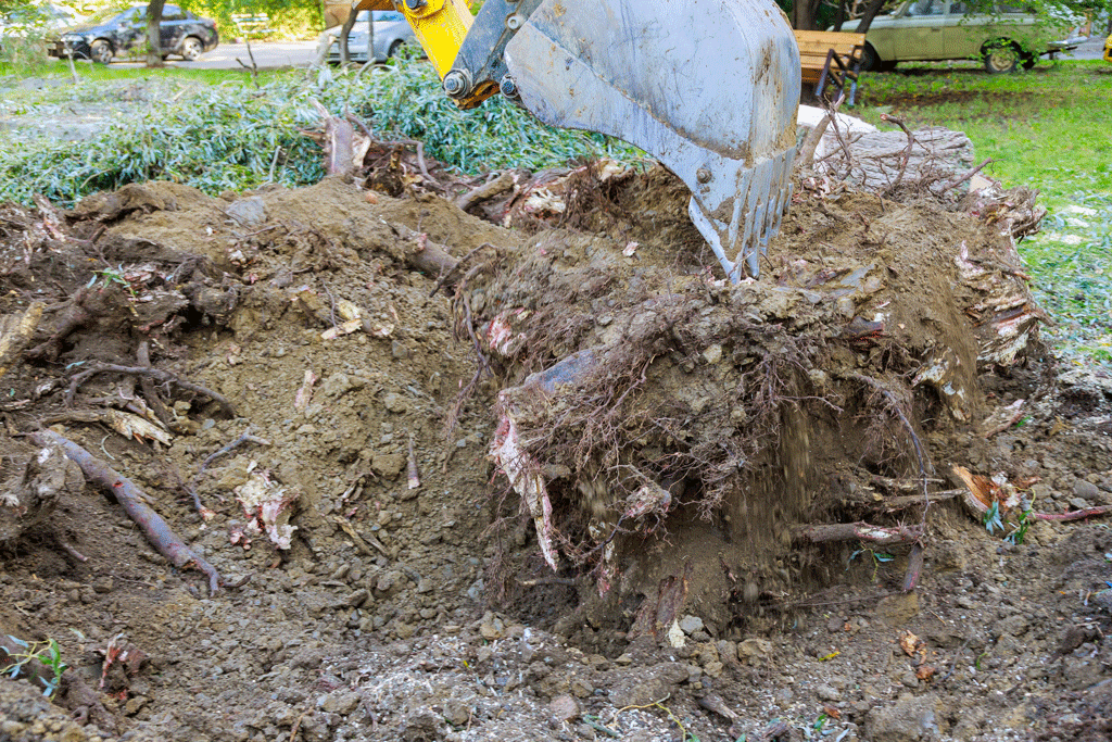 tree roots being removed after stump tree stump remover dallas tx ft worth tx southlake tx 