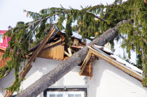 tree fallen on house, roof smashed in