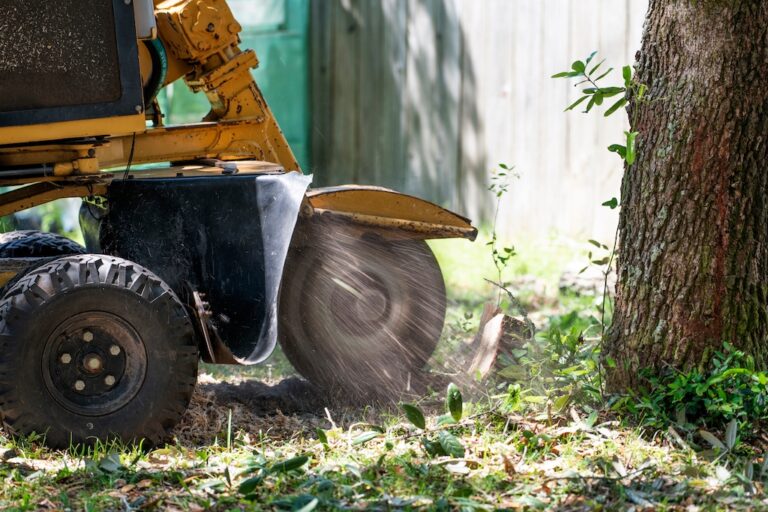 Stump Grinding Professionals: Clear Your Landscape