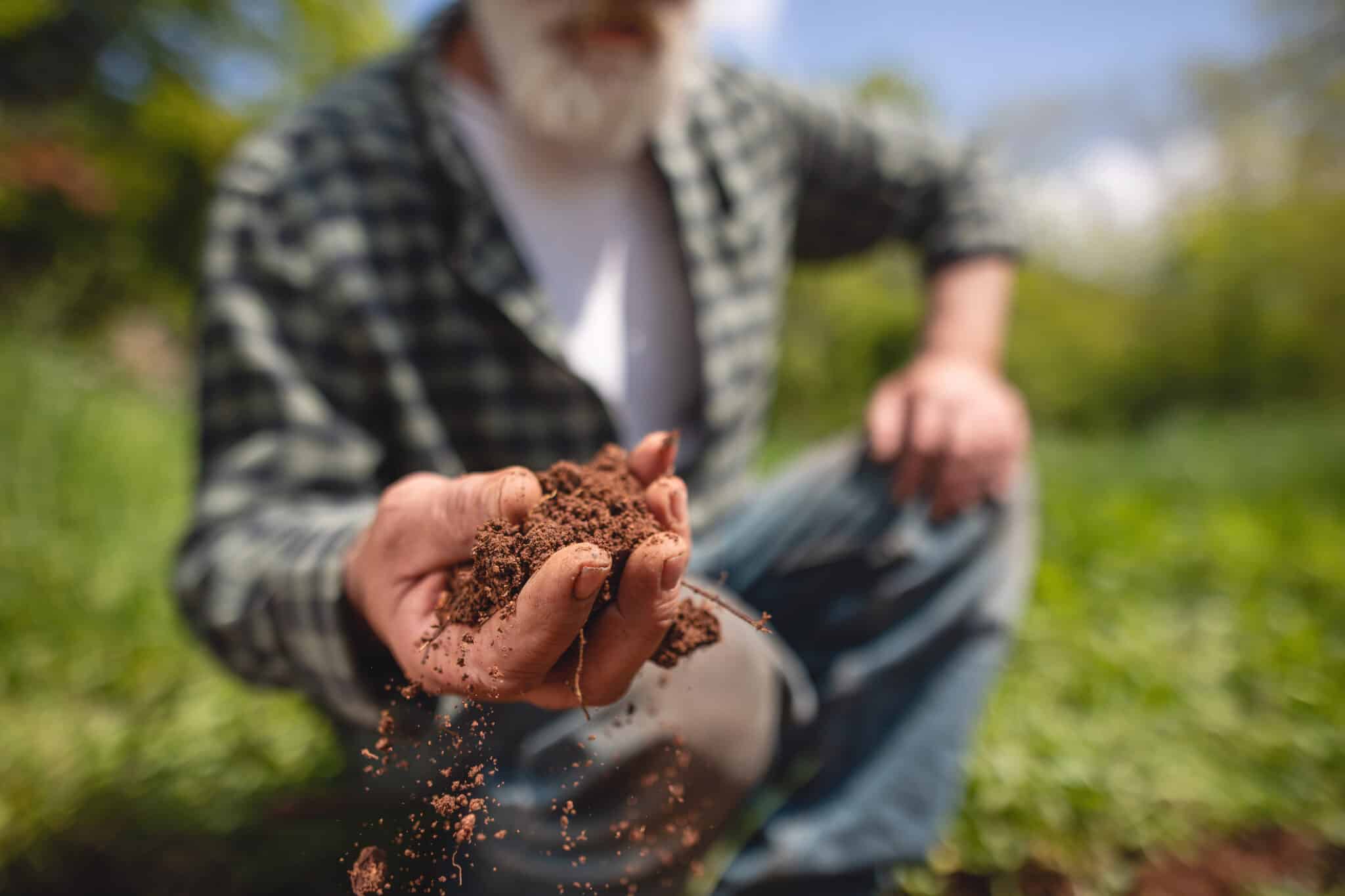 Assessing Soil Health for Your Trees.