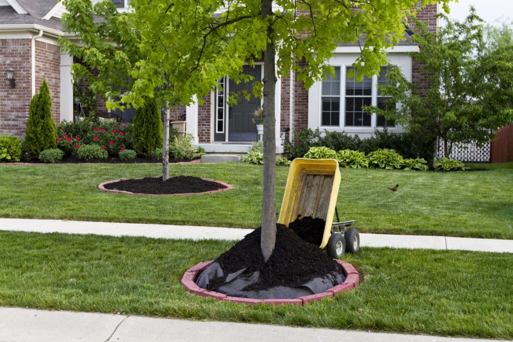 Tree Mulching