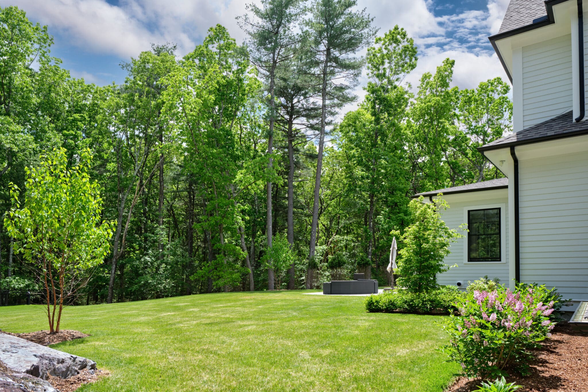 Selecting Trees for Windbreaks