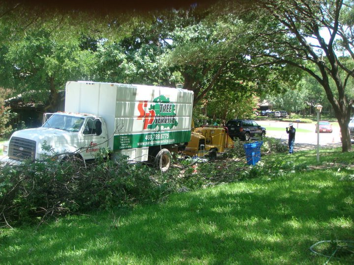 Tree Care