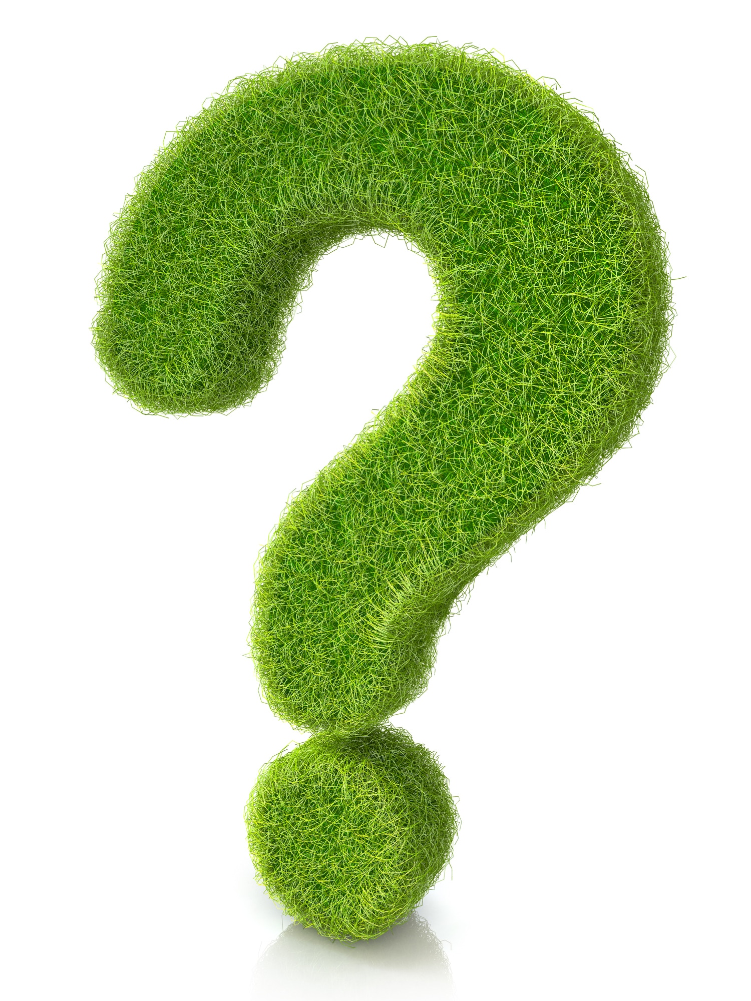 FAQ, Tree Trimming Techniques.