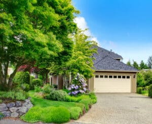 Best Native Trees for North Texas Yards.
