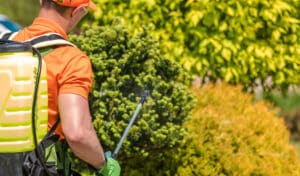 Professional gardener pesticide, Advanced Tree Recovery Techniques.