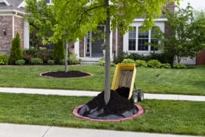 Improve how your garden looks is mulching. Mulching makes big impact how your garden looks, Texas Trees.