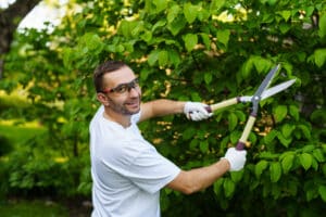 Pruning trees, Advanced Tree Recovery Techniques.
