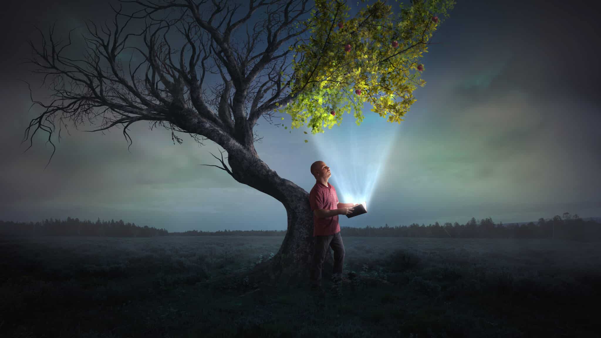 The Essential Guide to Tree Lifespan Extension