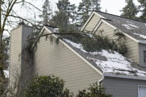 Fallen Tree Branches on the Roof, Roof line clearance.