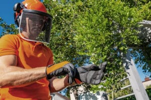 Safety gear is putting on gloves before trimming trees, Directional trimming.