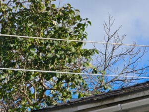 Overhanging tree branches, Roofline clearance.