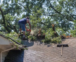 Roofline clearance in Fort Worth for safer homes.