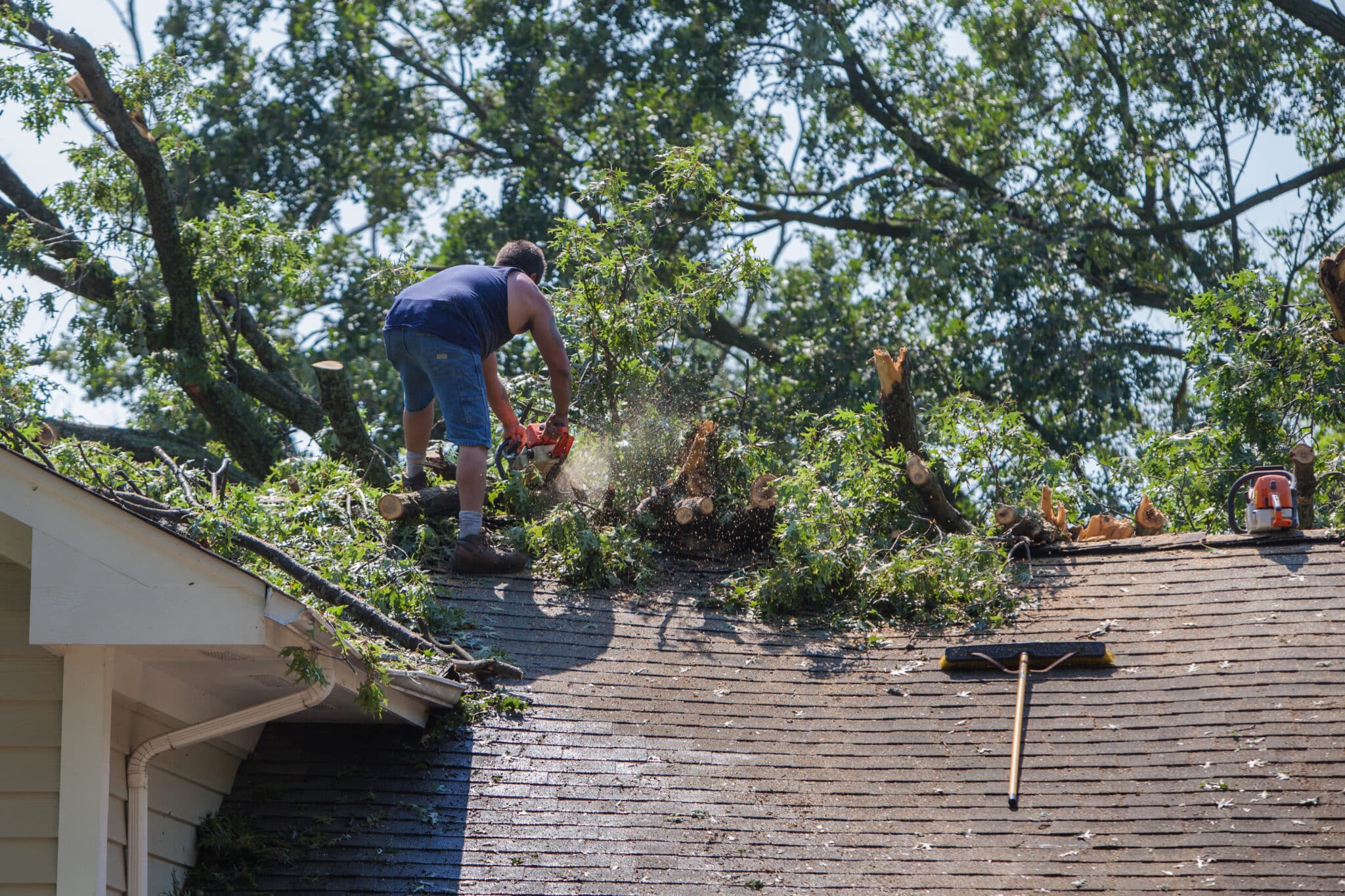 Roofline Clearance in Fort Worth for Safer Homes