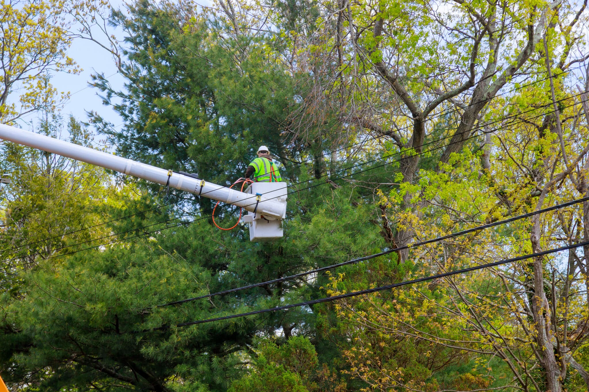 Utility Line Clearance to Protect Trees and Prevent Outages