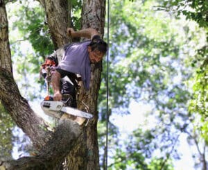 End weight relief to protect long heavy limbs.