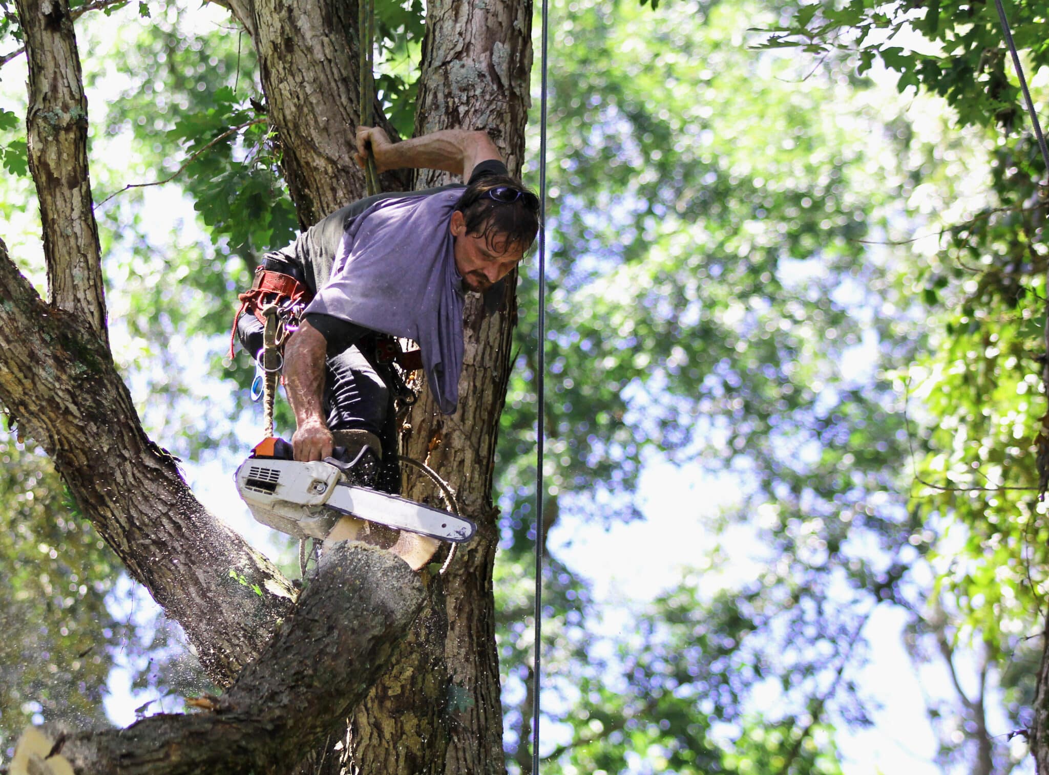 End Weight Relief to Protect Long Heavy Limbs