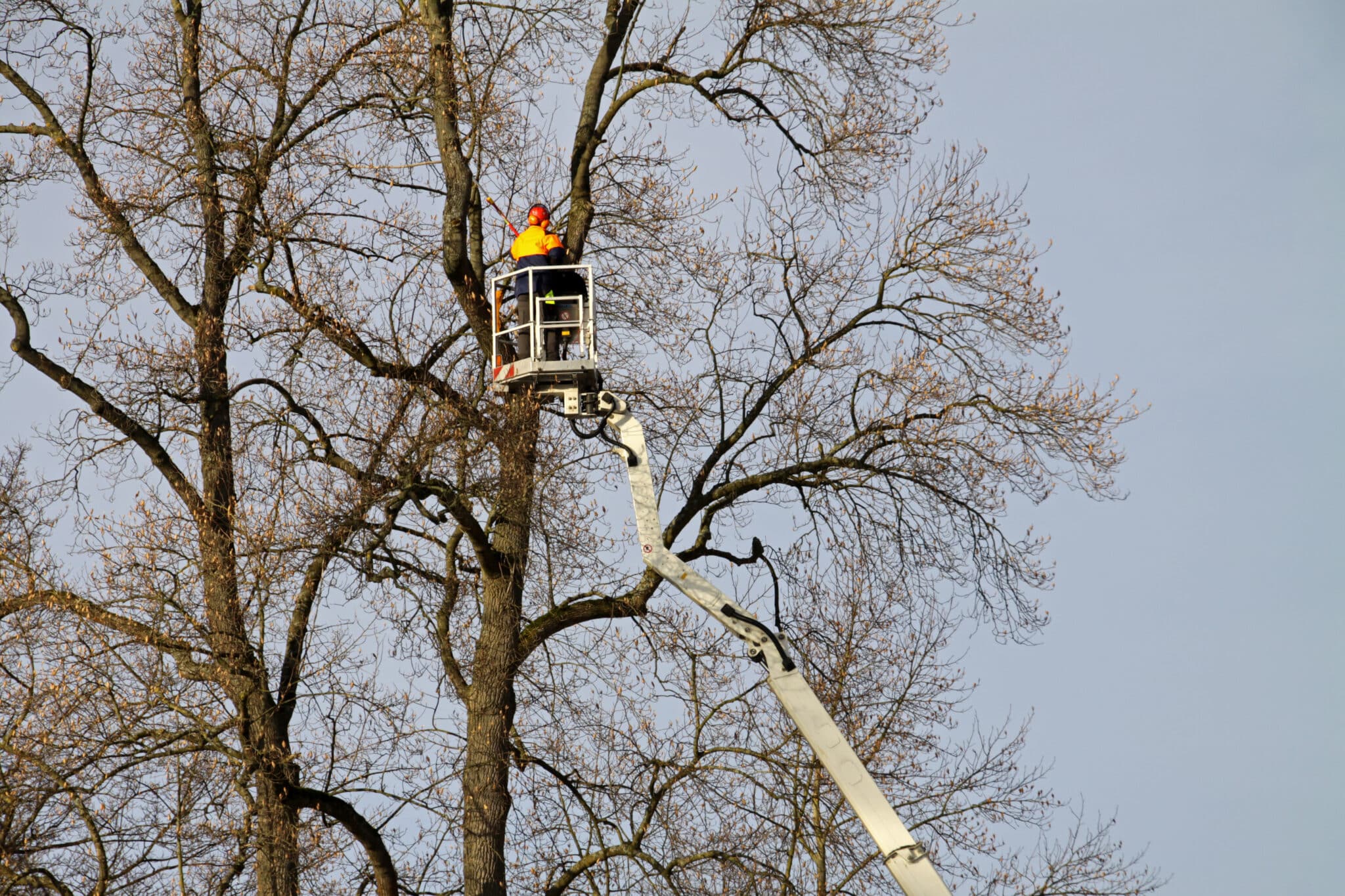 Lion Tailing Risks and How to Avoid Them