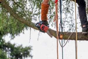 Pruning tools, Canopy airflow boost.