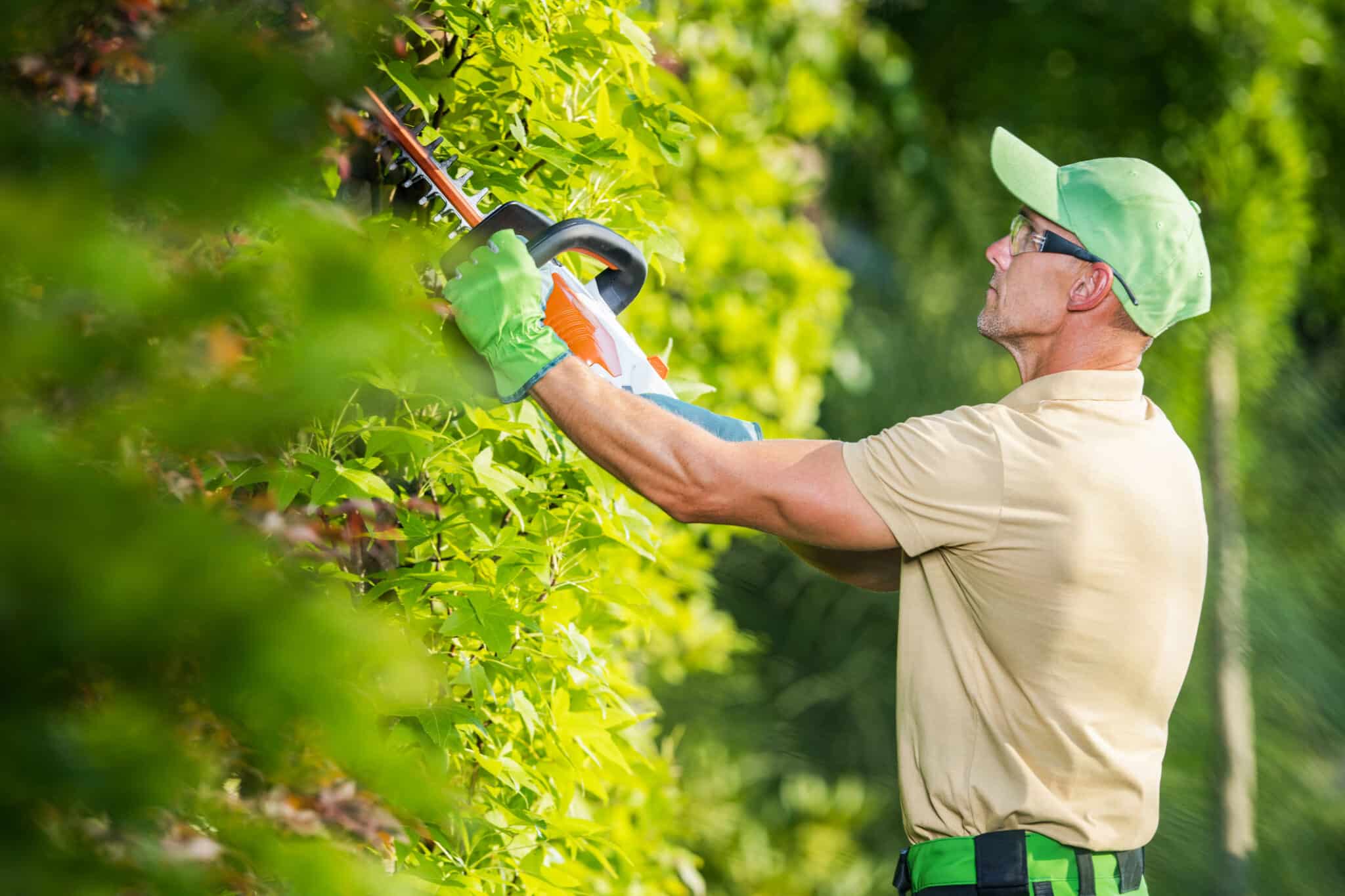 Electric trimming, Wildlife friendly trimming.