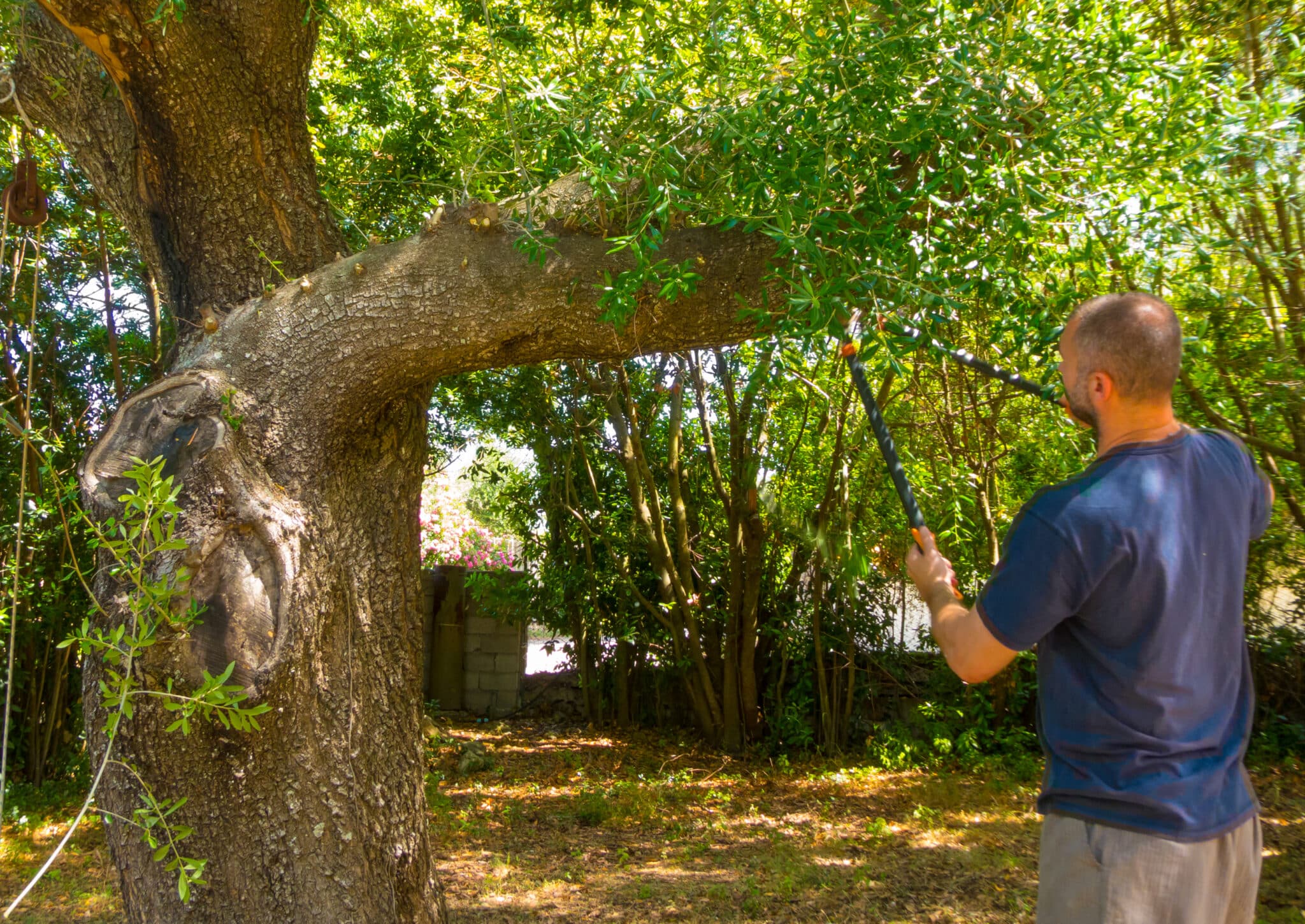 Wildlife friendly trimming that protects backyard habitats.