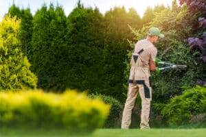 A landscape worker carefully trims, Skyline windowing method.