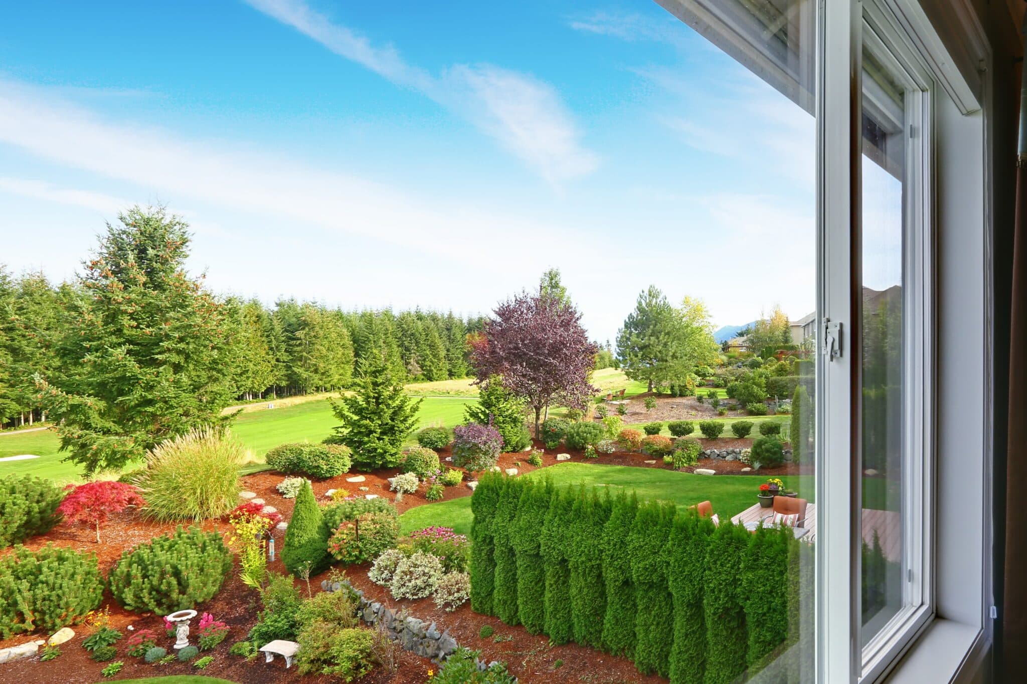 Skyline windowing method for crisp backyard views.